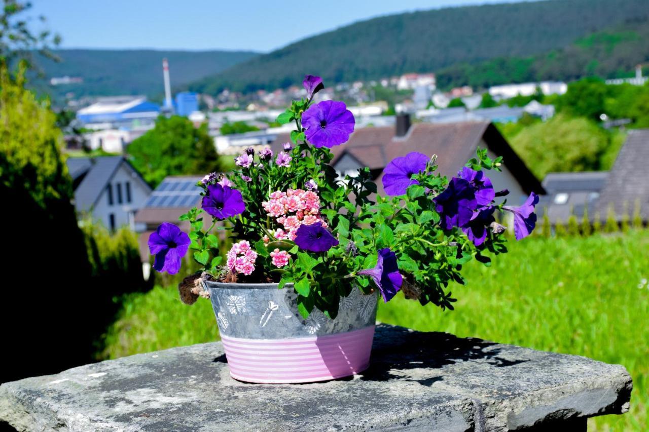 Hotel Bergwiesen - Zimmer Mit Balkon Oder Terasse Lohr am Main Luaran gambar